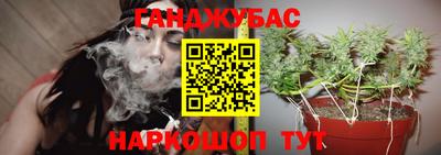 ешки Можга