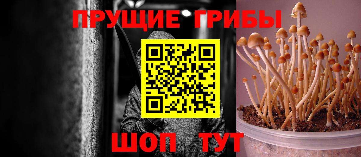 Феодосия  Псилоцибиновые грибы MAGIC MUSHROOMS  Вход с VPN 