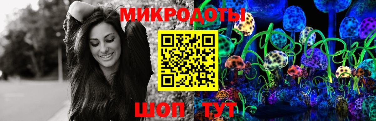 Псилоцибиновые грибы Psilocybine cubensis Феодосия